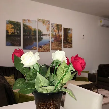 Apartman M&s